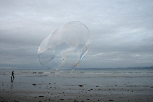 baja bubble: bird (2008)