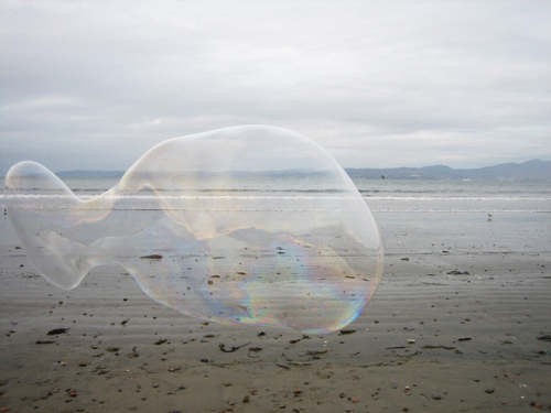 baja bubble: goldfish (2008) baja bubble: goldfish (2008)